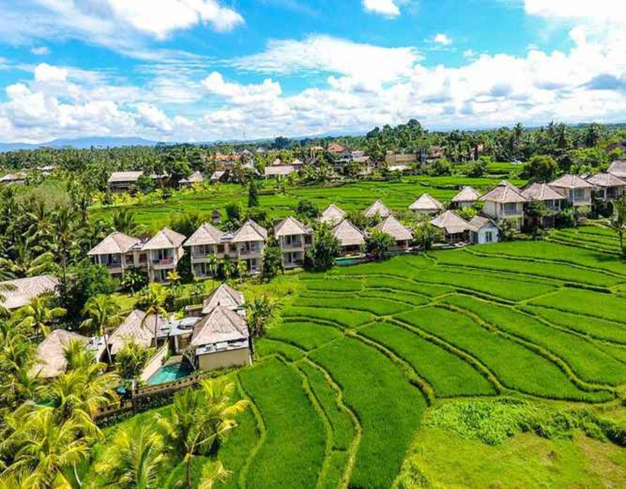 Mesari Hotel Ubud Екстер'єр фото