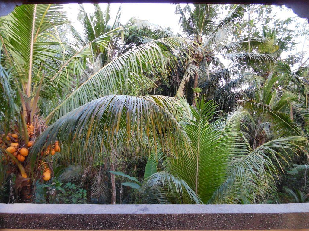 Mesari Hotel Ubud Екстер'єр фото