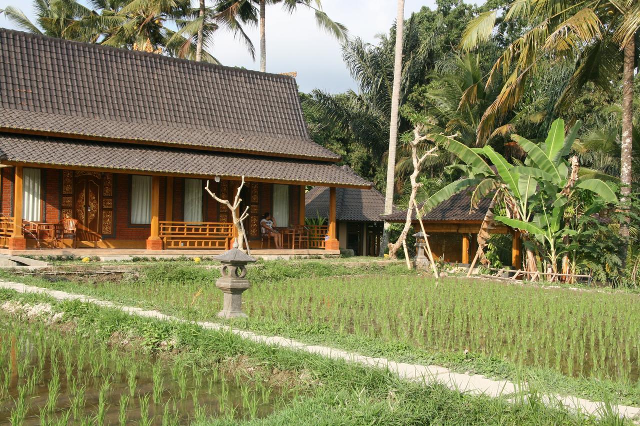 Mesari Hotel Ubud Екстер'єр фото