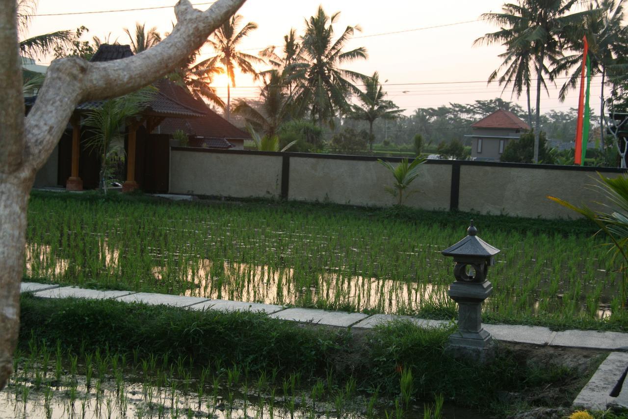 Mesari Hotel Ubud Екстер'єр фото
