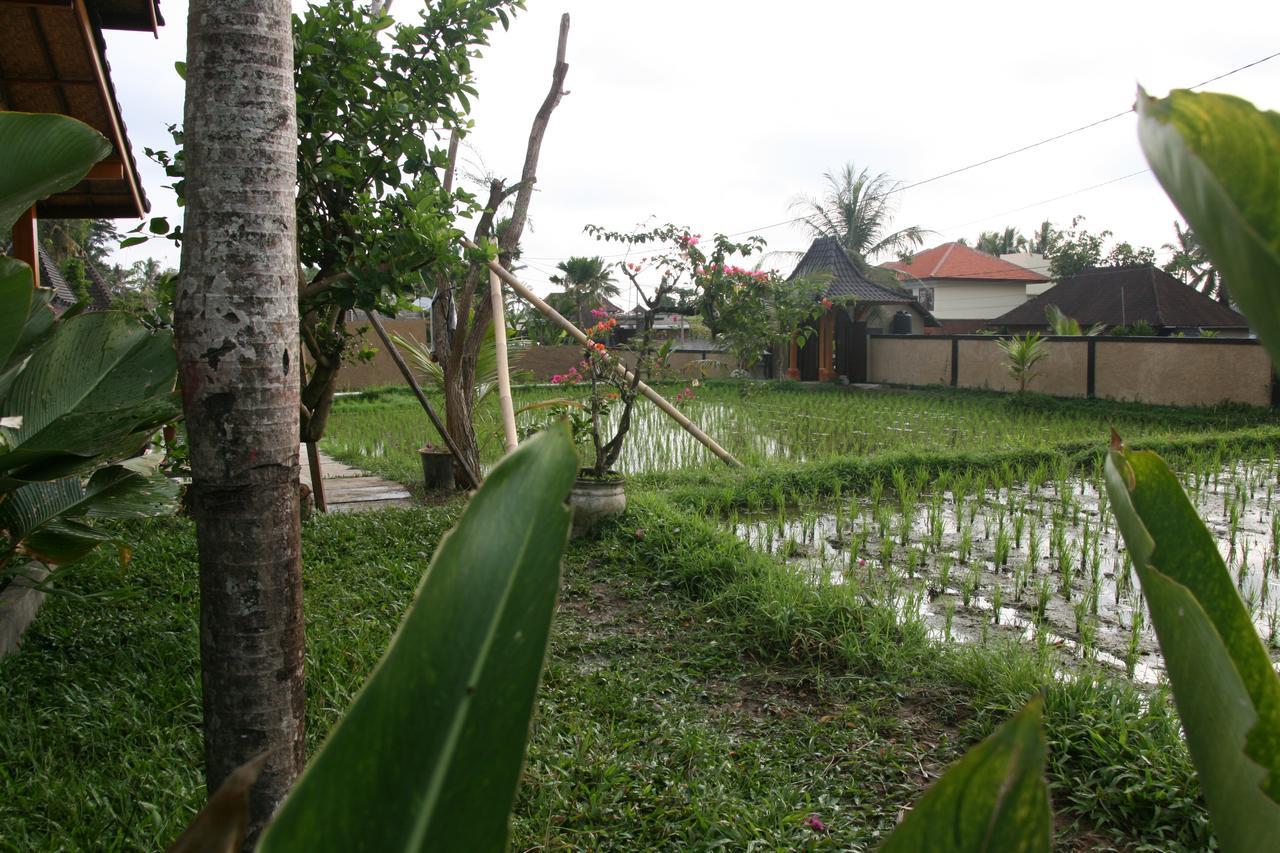 Mesari Hotel Ubud Екстер'єр фото